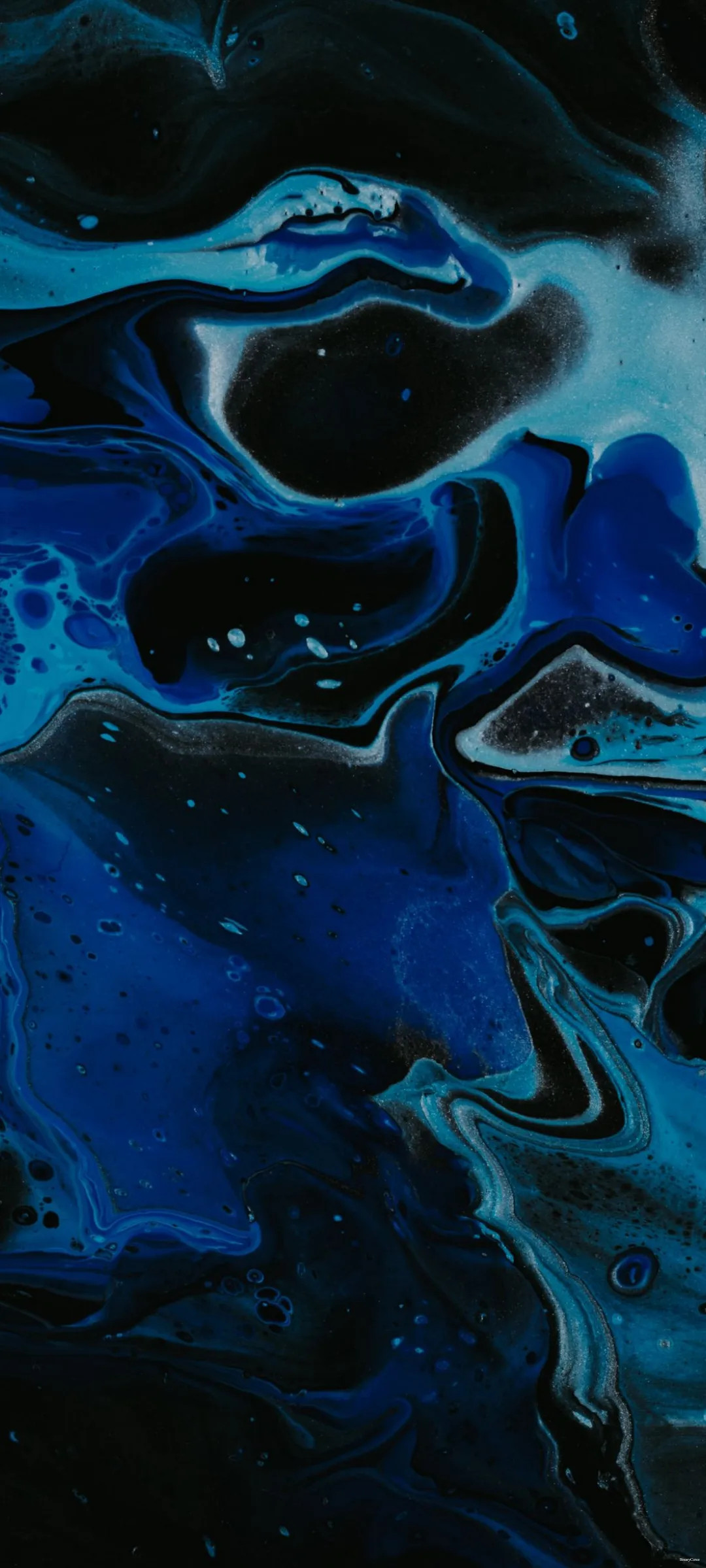 wallpaper62.webp
